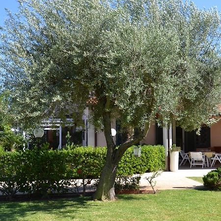 Villa Paola Fontane Bianche Dış mekan fotoğraf